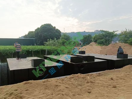 清远市佛冈县龙山镇污水处理工程案例