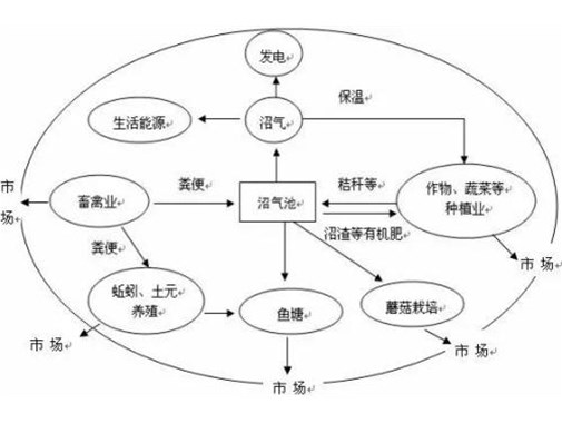 养殖污水处理方法都有哪些_金版环保